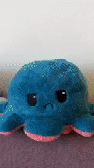 Everyday home life documented in Plovdiv featuring plush toys