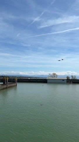 The video shows a serene lake or harbor with a clear blue sky and some scattered clouds. In the foreground, there is calm, green water. To the left, there is a wooden pier with pilings. In the background, across the water, there is a long, dark barrier wall with a modern-looking building behind it. There is a lone tree with autumn foliage next to the building. In the distance, mountains are visible on the horizon. The most prominent feature is a blimp, which is the main subject of the video. It is white with blue accents and is flying in the sky above the mountains and clouds. A swan is visible swimming in the water in the middle ground, and another dark object, possibly another swan or a bird, is partially submerged in the water. The video zooms in on the blimp as it flies across the frame.
