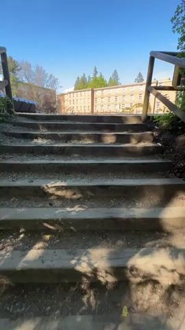 The video shows a person climbing a set of wooden stairs, with a wooden railing on each side, that leads up through a heavily wooded area. At the bottom of the stairs, there is a brick building in the distance, as well as a blue dumpster. As the person climbs higher up the stairs, the camera pans up and shows a view of the steps continuing into a forest. At the top of the stairs, two people are visible walking away from the camera on a landing. A third person is walking down the stairs. It is a sunny day.