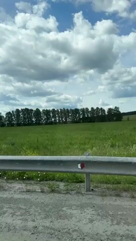 A car is traveling down a paved road, with a guardrail on the right side of the frame. The road is gray and dusty. Beyond the guardrail is a vibrant green field, stretching as far as the eye can see. A line of trees forms a dark green border along the horizon, with a few scattered trees also present within the field. The sky above is a bright blue, dotted with fluffy white clouds. The scene suggests a sunny day in a rural or countryside setting. The camera is mounted inside the moving vehicle, capturing the passing landscape.