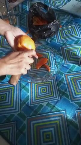 The scene shows a pair of hands peeling a piece of orange fruit with a knife, placing the peeled pieces onto a clear, decorative glass plate. The plate rests on a blue tablecloth patterned with squares. To the upper right is a black plastic bag filled with more of the orange fruit. To the upper left is a glass with some orange pieces in it. The background is slightly out of focus.