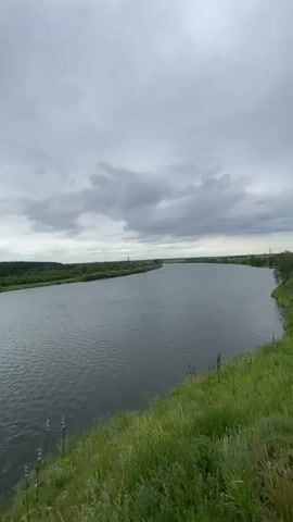 The video shows a wide, calm river on a cloudy day. The camera pans from right to left, revealing a grassy bank in the foreground and a dense, dark green forest on the opposite bank. The sky is overcast with gray clouds, and there are no visible people or animals. The overall impression is one of a peaceful, natural landscape.