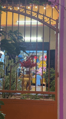 Buddhist temple interior filmed through gate at night