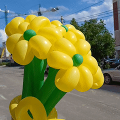 Yellow balloon flower bouquet photographed against a sunny Ukrainian sky
