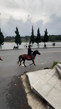 Xuan Huong Lake area buzzing on a cloudy Da Lat morning