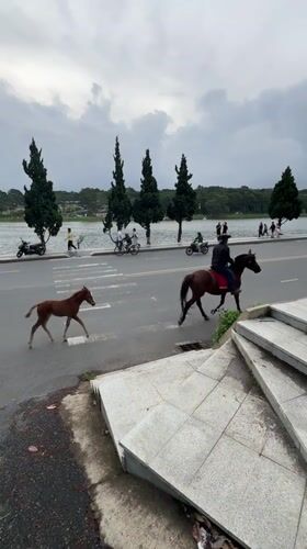Xuan Huong Lake area buzzing on a cloudy Da Lat morning
