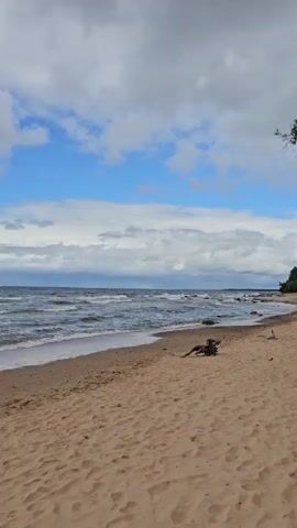 A short video clip shows a sandy beach with a lake in the background. Waves are gently lapping at the shore, and the sky is partly cloudy with blue patches. Trees and rocks line the edge of the beach. A few pieces of driftwood are scattered on the sand. There are no people visible in the video. The camera pans slowly from left to right, revealing more of the beach and the tree line.