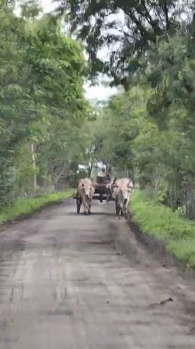 Talaswada, India