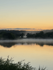 Misty sunrise over lake in Satino-Russkoe with snail sightings