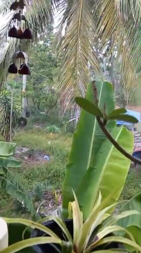 Heavy downpour hits tropical village in Thailand