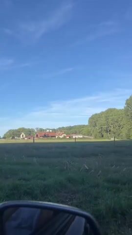 A video of a rural landscape on a clear day. In the foreground, the edge of a car's interior is visible. The middle ground shows a grassy field with a wooden fence. Behind the fence, several animals are visible: a black bull, and several horses grazing or walking. In the background, there are trees and buildings, suggesting a farm or rural settlement. The sky is bright blue with a few wispy clouds. The video appears to be shot from a moving vehicle.