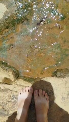 The video shows a first-person perspective looking down into shallow, clear water. A pair of bare feet is visible at the bottom of the frame, casting a shadow on the rocky ground next to the water. The water has ripples and reflections of sunlight, revealing a bed of brownish-orange rock or mud interspersed with patches of green algae or moss. Several small, dark-colored fish are visible swimming in the water, moving slowly from left to right and then disappearing towards the bottom of the frame. The sound of flowing water is audible throughout the video.