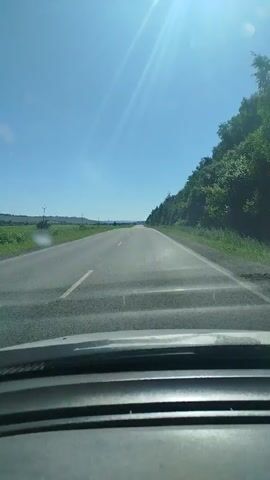 The video shows a view from inside a car driving on a paved road. The sky is clear and blue with the sun shining brightly, creating a lens flare. On the right side of the road, there is a dense line of green trees and vegetation on a hillside. On the left side of the road, there are fields of green crops stretching to the horizon, with some rolling hills in the distance and utility poles visible. The dashboard and windshield of the car are visible in the foreground. The camera is moving, indicating the car is in motion.