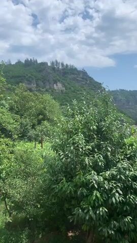 The video shows a view of a town nestled in a valley surrounded by lush green mountains. The sky is partly cloudy with a bright blue sky visible. In the foreground, there are several trees and bushes with vibrant green leaves. As the camera pans to the right, a town appears with several buildings, including apartment complexes and what appears to be a church with a tall steeple. The buildings are situated on the slopes of the valley and also in the valley floor. The mountains in the background are steep and covered in dense vegetation. The overall scene depicts a tranquil and scenic landscape.