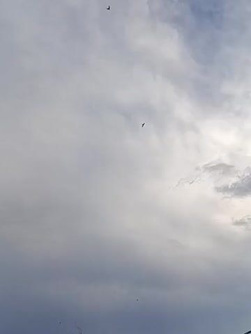 A time-lapse video shows a cloudy sky with several birds flying at different distances and altitudes. The bottom of the frame shows the roof of a building with a chimney. The sky transitions from a brighter overcast to a slightly darker overcast with some blue sky peeking through. The birds are small silhouettes against the sky and appear to be flying in various directions.