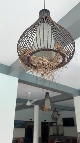 The video pans across a room with a white ceiling and grey beams. Several pendant lights with woven bamboo shades are hanging from the ceiling. Some of the shades have dried grass or straw elements attached. Ceiling fans are also visible. In the background, there appears to be an office with a door labeled "OFFICE". There are also signs that read "MONEY EXCHANGE" and "обмен денег". Part of a reception desk with stone accents is visible, along with some speakers and what look like chairs and a table. Outside, there is lush green foliage. An elephant statue is also in the foreground. The overall impression is of an indoor/outdoor space, possibly a reception area or restaurant, with a natural, tropical aesthetic.