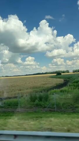 This is a video clip captured from a moving vehicle, likely a car, looking out at a rural landscape. The primary subject is a vast, golden field of harvested crops, possibly wheat or barley, stretching towards a distant tree line. The sky is a vibrant blue, dotted with large, fluffy white cumulus clouds, suggesting fair weather and a bright, sunny day. The time of day appears to be midday or early afternoon, given the brightness of the sunlight.

In the foreground, a metallic barrier or railing is visible, indicating the perspective is from within a vehicle on a road or highway. A simple wire fence with metal posts runs along the edge of the field, delineating it from the closer grassy area. The field itself shows signs of recent harvesting, with stubble visible in some areas and patches of dark earth.

The setting is clearly rural, consistent with the location context of Platnirovskaya, Russia, known for its agricultural lands. The overall mood is one of peacefulness and the vastness of nature, with the expansive field and sky evoking a sense of calm and open space. There is no visible text in the clip. The activity taking place is essentially the passive observation of the passing scenery from a moving vehicle.