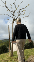 Woman hugs tree, poses by window in French village