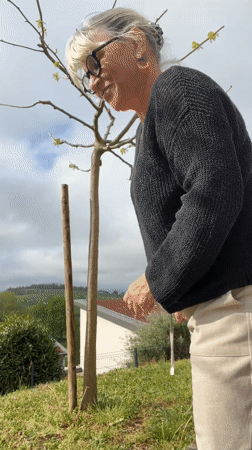 Woman hugs tree, poses by window in French village