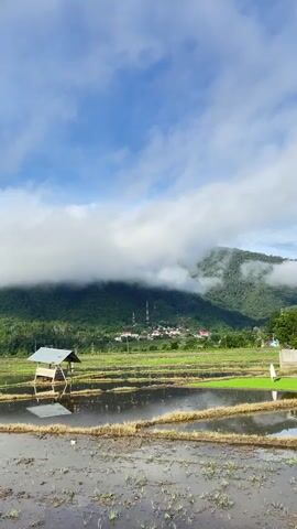 A drone shot pans across a rural landscape. In the foreground, flooded rice paddies reflect the blue sky and white clouds. A small wooden shelter with a metal roof sits on stilts near the edge of the paddies. In the middle ground, a lush green field separates the paddies from a village nestled at the base of a verdant mountain. The village has several buildings with red roofs and two tall telecommunication towers. The mountain is partially shrouded in white clouds. The sky is clear with scattered white clouds.
