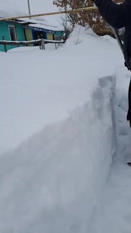 A person clad in black attire is engaged in clearing a path through a deep accumulation of snow. They are using a black shovel with a wooden handle to carve out a trench. The snow walls stand tall on either side of the person. The environment appears to be a residential area, evidenced by a house visible in the background, partly obscured by the snow. The setting is dominated by snow, indicating a recent or ongoing winter season.