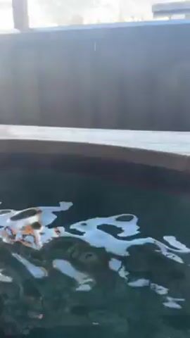 The video shows an outdoor hot tub with a view of a snow-covered mountain. The tub is made of wood and is filled with steaming water. The mountain is in the distance and has trees and buildings on it. The sky is blue and there are some clouds.