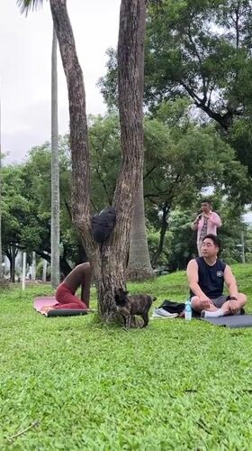 Morning yoga and park life at a Chiang Mai pond