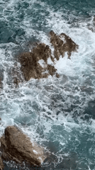 Dog walker enjoys morning coastal stroll in Montenegro