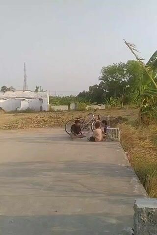 A video captured from a slightly elevated angle shows an outdoor scene under a clear sky. In the foreground, a concrete surface, possibly a road or platform, dominates the lower half of the frame. To the right, the edge of this surface drops off, revealing tall, dry grass and some vegetation.

In the middle ground, three young children are seated on the concrete, near the edge. One child, on the left, is wearing dark clothing and appears to be interacting with something on the ground. Another child, in the center, is wearing lighter clothing and is facing towards the child on the left. A third child, on the right, is also wearing light clothing and is facing away from the camera, towards the edge of the platform. A bicycle is propped up behind the children, its wheels clearly visible.

Further in the background, a dilapidated white building with a damaged roof stands on a patch of dry, rough ground. Behind the building and to the right, trees and dense vegetation are visible, including what appear to be banana trees. A tall, slender tower, possibly a communication tower, rises above the trees in the distance. The overall impression is of a rural or semi-rural setting, possibly in a warm climate, with signs of disrepair and natural growth.
