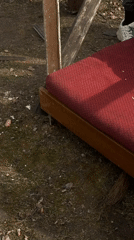 Red cushion spotted outdoors in Krasnoyarsk garden setting