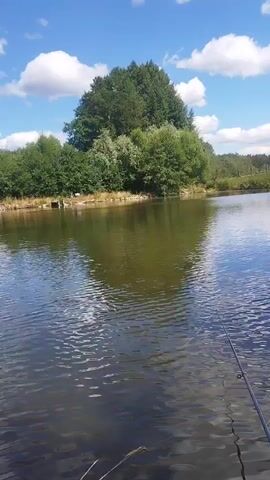 A calm lake is shown under a blue sky with scattered clouds. Trees line the far bank. The foreground shows a fishing rod with a line extending into the water. The camera pans slightly to the left.