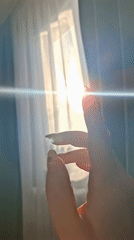 Quiet morning moments captured in sunlit indoor spaces