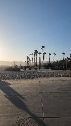 A vertical, eye-level shot shows a beach path with a clear blue sky above and a distant mountain range. Palm trees line the right side of the path, casting shadows on the sandy beach and concrete walkway. Several people are visible walking, jogging, and cycling on the path. The sun is setting on the left side of the frame, casting a warm glow and long shadows. The overall scene depicts a pleasant, active beach environment.