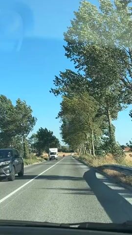 The video shows a view from inside a vehicle traveling on a paved road. The road is bordered by a line of tall trees with green foliage on the right side and scattered trees on the left. The sky is clear and blue. A white truck is visible on the road ahead, and a red car and a white car are seen further down the road. The vehicle appears to be moving at a moderate speed.
