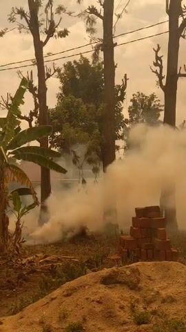 The video captures a scene of smoke rising near a pile of bricks and a mound of dirt in what appears to be a rural or undeveloped area. There are trees in the background, including a banana tree on the left side of the frame. The sky is overcast, giving the scene an overall hazy appearance. The smoke obscures the view of the ground behind it, but it seems to be coming from a fire burning on the ground. The bricks are stacked neatly in a pyramid shape, and the dirt mound is located in the foreground. There is no visible activity or people within the frame.