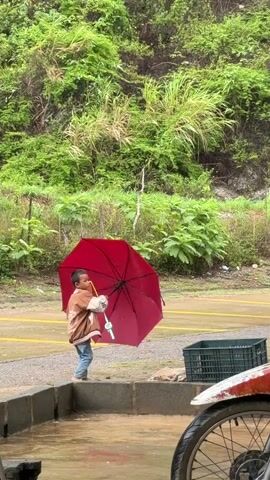 A child stands under a red umbrella in the rain. The child is wearing a brown jacket and blue jeans. The child is holding a light blue toy. The child is standing on a concrete platform next to a shallow pool of water. Behind the child is a road and a lush green hillside covered in trees and vegetation. To the right of the child is a green plastic crate. In the foreground, a portion of a motorcycle wheel is visible. The overall scene suggests an outdoor environment during a rain shower.
