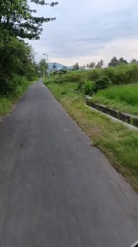 The video shows a first-person perspective of a vehicle moving along a narrow asphalt road. On either side of the road is dense green vegetation. Further down the road, a utility pole with an attached light fixture is visible, as well as a small, open-sided wooden structure. The sky is overcast, and the environment appears to be rural.