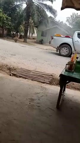 The video shows a dusty, unpaved road in front of a small, light green house with a palm tree to its left. A motorcycle is parked in front of the house. To the right of the house, there's a white vehicle, possibly a truck, with a yellow object on its bed. In the foreground, a green table with bottles of condiments, likely ketchup and other sauces, sits under a simple shelter. A glass display case is on a table to the right, in front of the shelter. The ground is made of dirt and sand, and there's a small, makeshift bamboo bridge over a ditch to the left of the road. The scene suggests a rural or roadside setting.