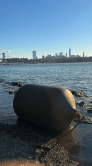 Large fender washed up on a rocky New York shoreline