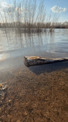 Leisure afternoon by lake in Chaikovsky Russia captured