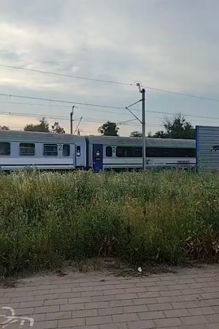 This video captures a passing train at what appears to be a station or a line side location in Nowy Dwór Mazowiecki, Poland. The train is comprised of multiple carriages, predominantly white and gray with blue accents. The logo "IC" is visible on the side of one of the carriages, suggesting it's part of the Intercity rail network. Another visible text element is the word "Combo" alongside a bicycle graphic, potentially indicating a feature for transporting bicycles. The train appears to be in motion, moving from left to right across the frame.

The scene is set against a backdrop of tall, lush green grass and foliage, suggesting an outdoor environment. In the background, trees are visible, and power lines run across the sky, typical of a railway setting. The sky is overcast with a cloudy, muted light, indicating it could be early morning, late afternoon, or simply a cloudy day. The pavement in the foreground, made of brick-like material, has a white symbol that resembles a wheelchair accessibility icon. The overall mood is calm and observational, focusing on the movement of the train through the natural setting.