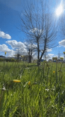 Spring morning scenes captured in Volzhsky, Russia