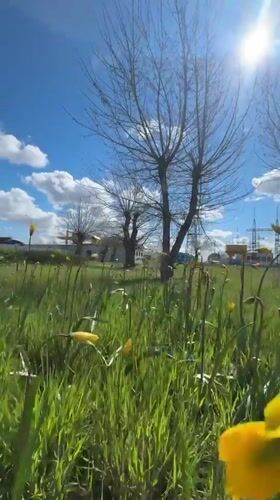 Spring morning scenes captured in Volzhsky, Russia
