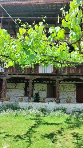 The video presents a serene outdoor scene featuring traditional architecture and lush greenery under a clear, sunny sky. It begins with a close-up view of vibrant green vine leaves and branches providing natural shade over a two-story building. This structure exhibits classic stone and timber construction, featuring an upper-level wooden balcony with railings and a traditional tiled roof. A well-kept grassy yard with scattered plant pots is visible in the foreground.

As the camera slowly pans from left to right, more of the complex is revealed. Another section of the building comes into view, characterized by external wooden staircases leading to the upper floor and additional balconies. The courtyard below is adorned with various green bushes and small trees, creating a peaceful garden atmosphere. The pan continues, ultimately revealing a church bell tower with a distinct cross at its peak, visible behind the main building and a tall, slender cypress tree. The sky above is bright blue with scattered white clouds, indicating a clear and sunny day, likely morning or early afternoon, with strong sunlight casting shadows across the grass. A traditional-style lantern hangs from a wooden beam under a roof overhang, adding to the rustic charm. The overall impression is one of tranquility and historical beauty, characteristic of a monastery setting in Rozhen, Bulgaria. No visible text is present.