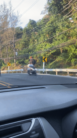 Elephant with rider spotted roadside in Kamala, Thailand