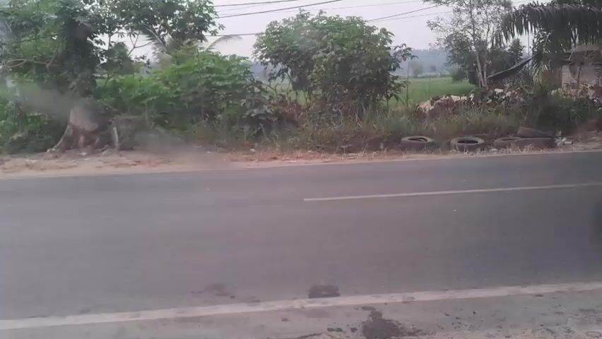 The video shows a roadside view with a paved road in the foreground and vegetation and trees in the background. Several old tires are piled along the side of the road. A yellow truck passes by from left to right. Then, a light blue scooter passes by from left to right, followed by a large truck with a red and yellow cargo covering. The video appears to be recorded from a stationary perspective. The sky is overcast.