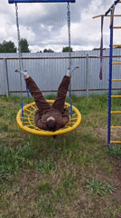 Morning playground activity captured by witnesses in Markovo