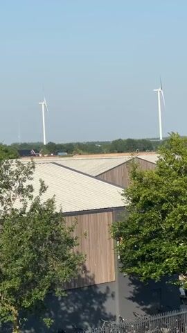 The video shows a daytime scene with a clear sky and a few wind turbines in the distance. In the foreground, there are buildings with white, slanted roofs and wooden-paneled walls. Green trees with lush foliage are visible in front of and between the buildings. There are no people or significant actions captured in the video.
