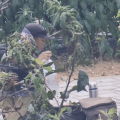 Summertime farm and garden activity in rural Dunnae-myeon