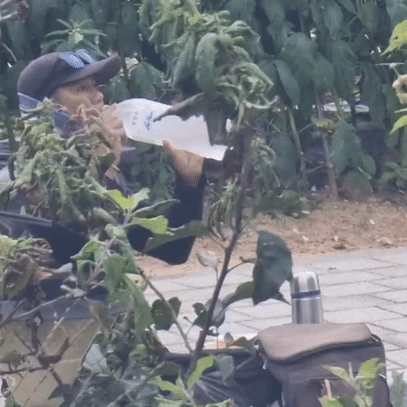 Summertime farm and garden activity in rural Dunnae-myeon